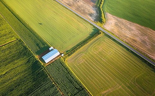 inno-area-agriculture